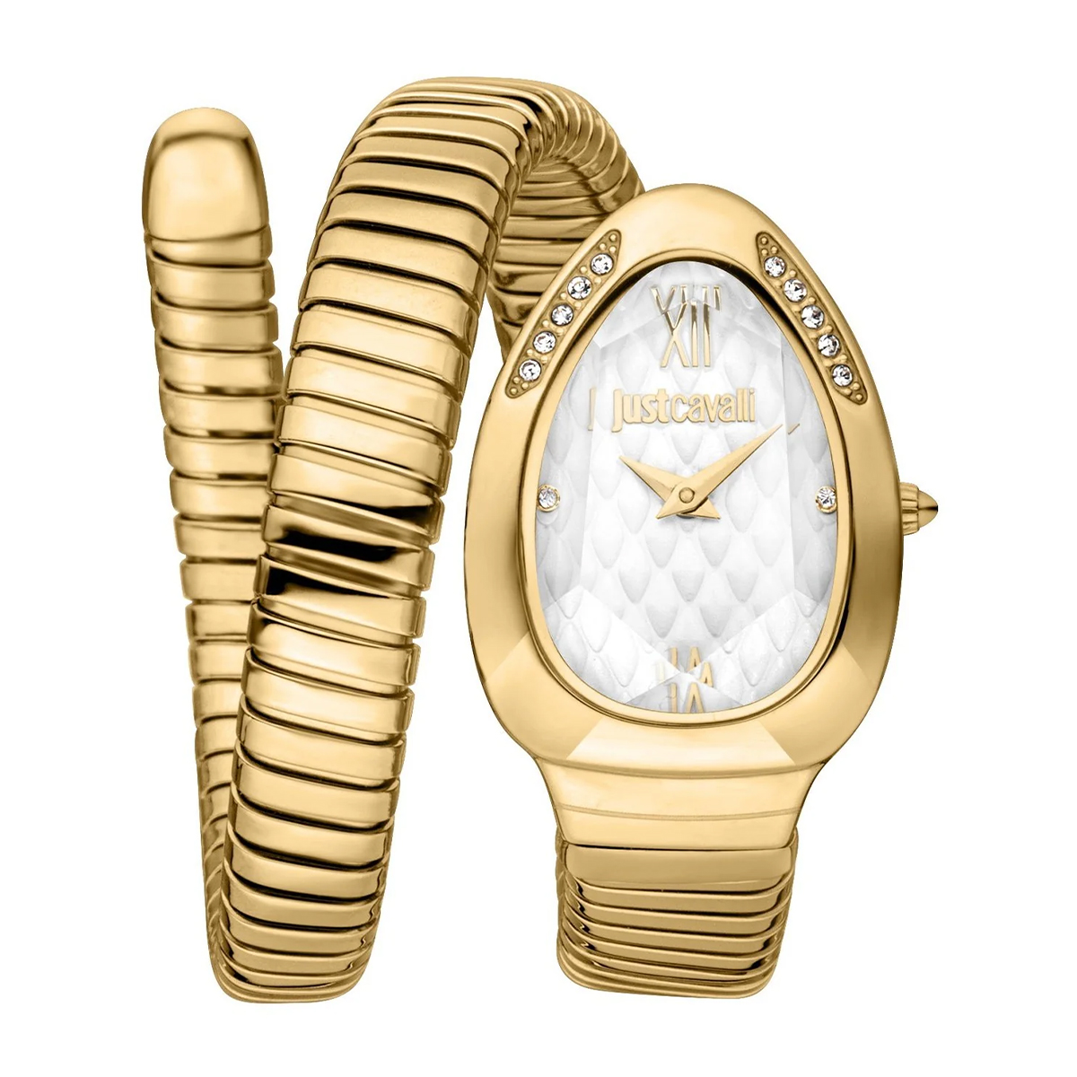 MONTRE JUST CAVALI FEMME  ACIER